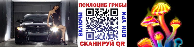 Купить закладки Орехово-Зуево Галлюциногенные грибы MAGIC MUSHROOMS